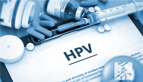男性hpv病毒携带