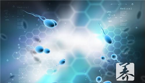 男性精子检查流程
