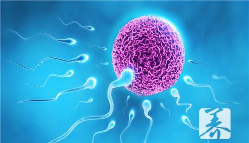 ​为什么有的男性精子活力低下?
