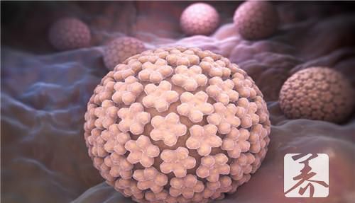 全程戴套会感染hpv