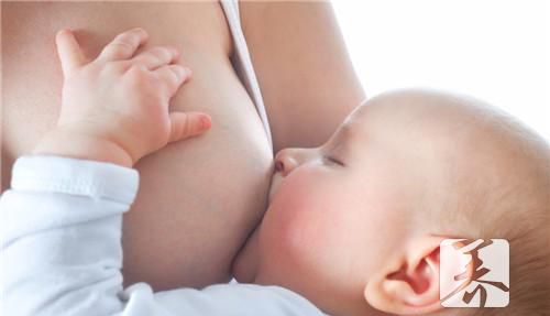 哺乳期可以吃狗肉吗