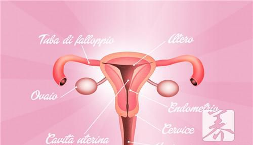 高危hpv16阳性严重吗