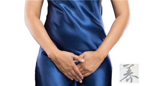 女性内部生殖系统结构_女性的生理结构图介绍_女性肚脐下