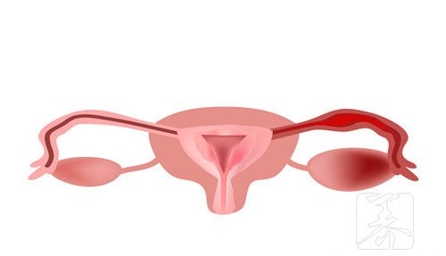 多囊的女人不容易衰老