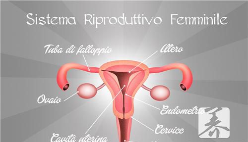 女生如何锻炼生殖器呢