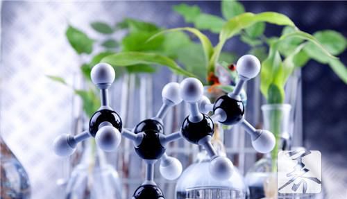 阴道赘生物的治疗
