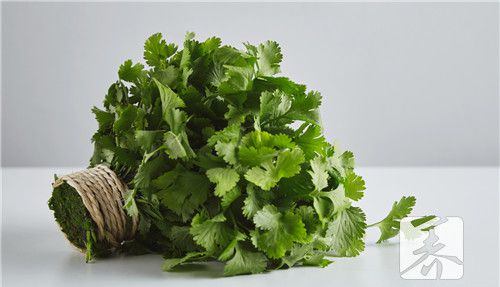 大芫荽
