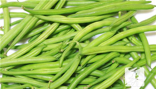 四季豆能治扁平疣吗