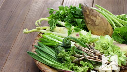 野蒜野葱野韭菜区别