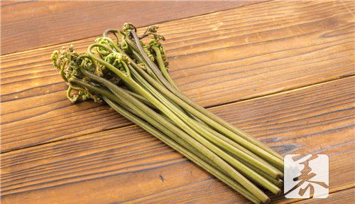 野蕨菜的功效与作用