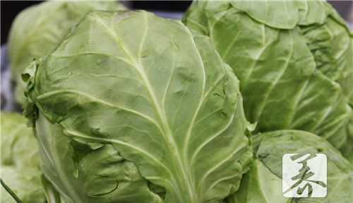 包心菜怎么炒好吃简单