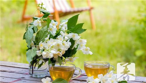 茉莉花茶价格