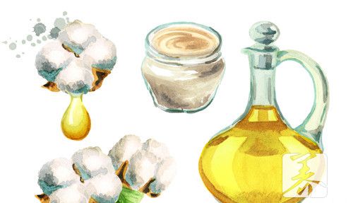 油菜籽多少钱一斤