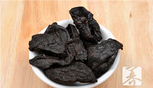 何首乌粉能天天吃吗