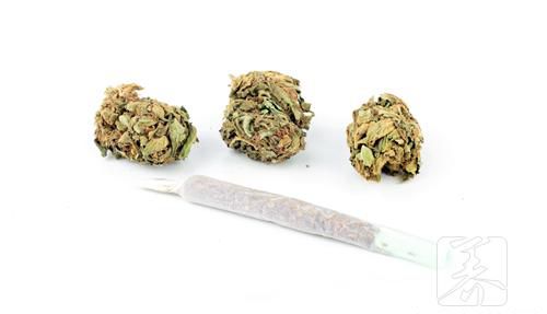 槐花副作用