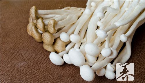 金针菇的根能吃吗