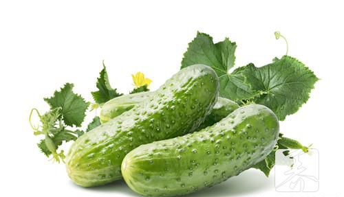 蔬菜含有什么营养成分