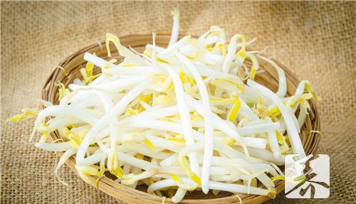 自己如何泡黄豆芽