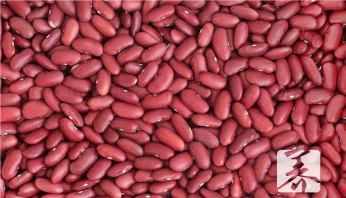 红豆薏米快速减肥法一周瘦10斤的方法是什么？
