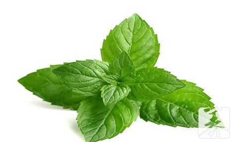 荷叶茶减肥吗