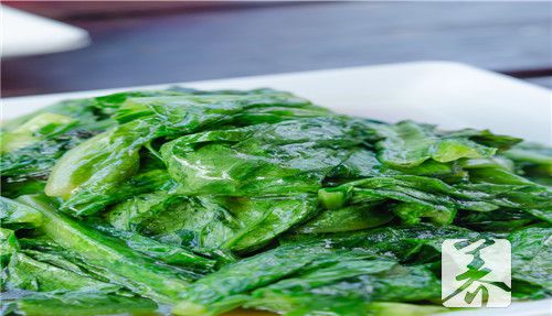 生菜是什么菜