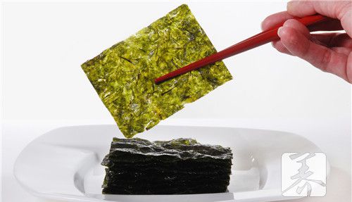 海苔是什么做的