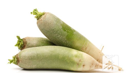 绿萝卜咸菜怎么做才好吃？