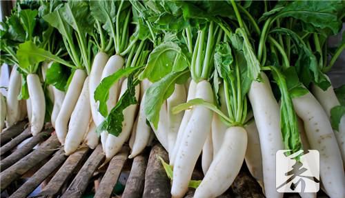 腌萝卜丝咸菜怎么做简单？