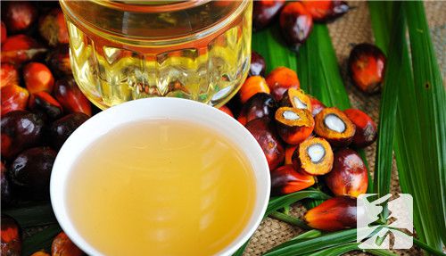 茶籽油对宝宝的用途是什么？