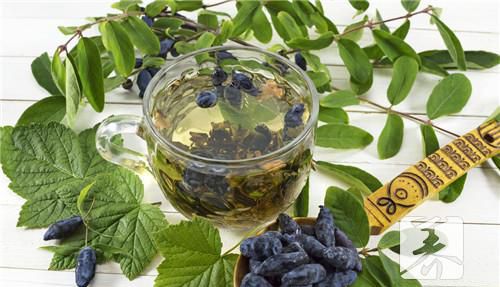 孕晚期能喝金银花茶吗