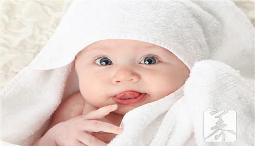 婴幼儿补血食谱大全
