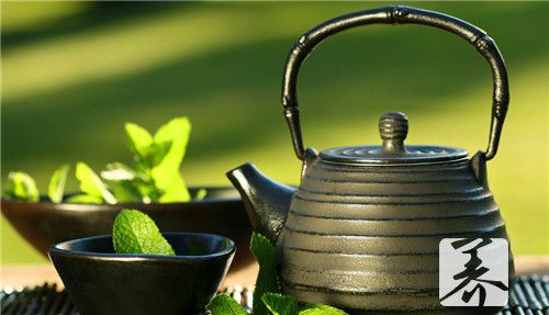 信阳毛尖属于绿茶吗？