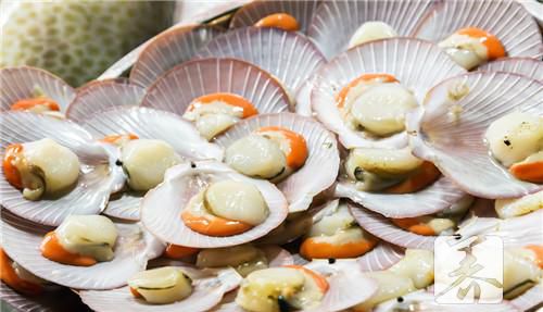 海鲜不能与什么同食