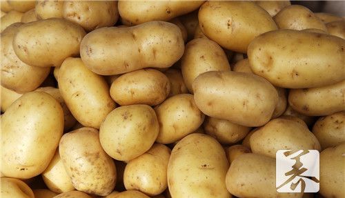 土豆做什么好吃又简单