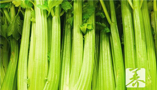 野芹菜不能和什么同食?