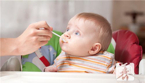 八个月辅食安排时间表