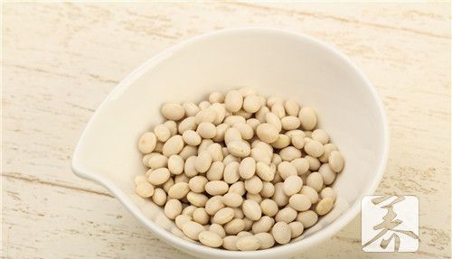 白芸豆提取物减肥怎么样呢？