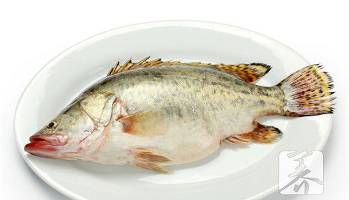 宝宝辅食银鳕鱼要学会这样的做法