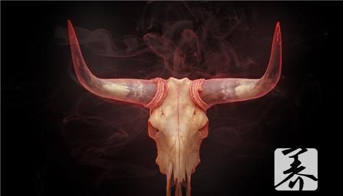 红烧牛腱子的做法