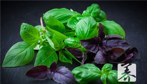 紫苏籽油可以炒菜吗？食用紫苏籽油有哪些功效呢？