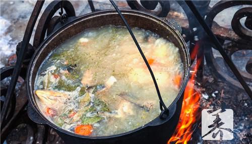 鱼头豆腐汤用什么鱼头