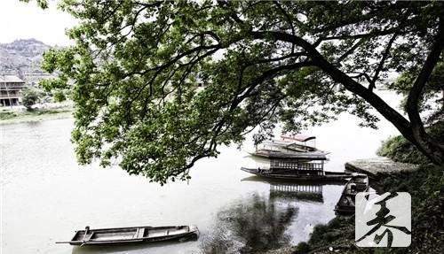 桂枝茯苓汤的功效