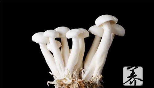 锡纸金针菇怎么做好吃