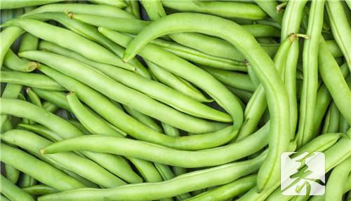 关于痛风能不能吃豆角及其原因分析