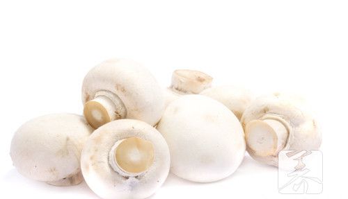 口蘑的做法大全——口蘑焖豆腐