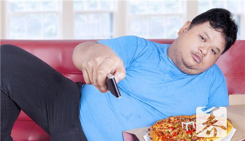 胆固醇高的食物有哪些呢？
