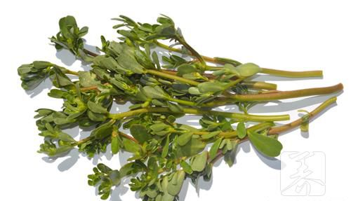 苋菜怎么炒？4种炒法告诉你
