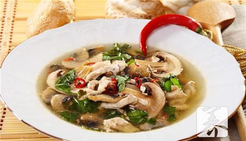 白血球低吃什么食物好？