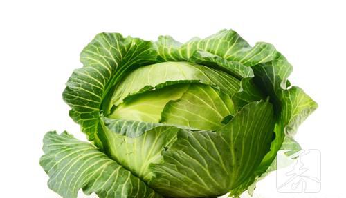 包菜炒粉丝怎么做？美食专家介绍方法