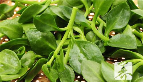 清炖排骨莲菜怎么做？详细步骤就在这里